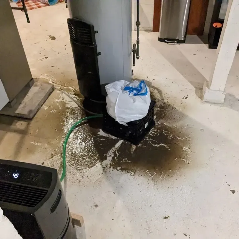 Sewage Backup Cleanup Service in Shasta, CA